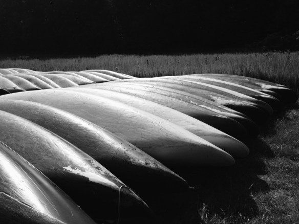 rows of canoes