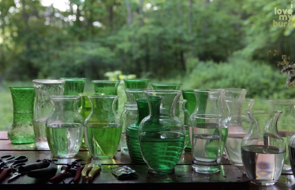 sparrowsflowers vases