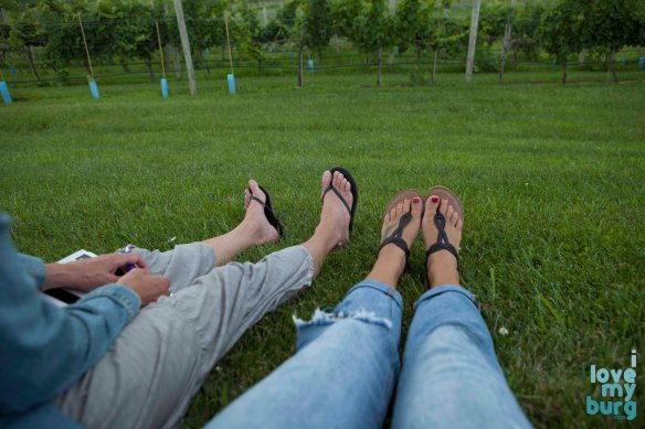 CrossKeys Vineyard, Cross Keys, Virginia