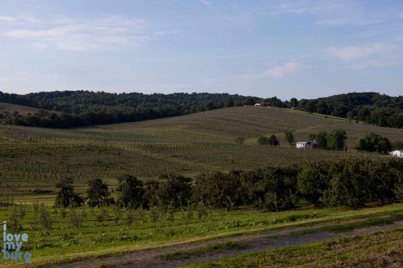 burgIMG_8222 by Blake