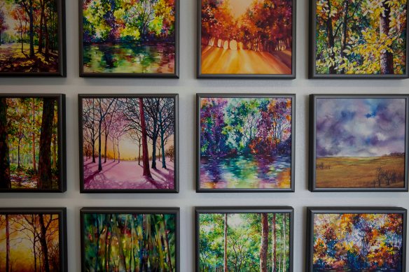 1st Place Brenda Hounshell